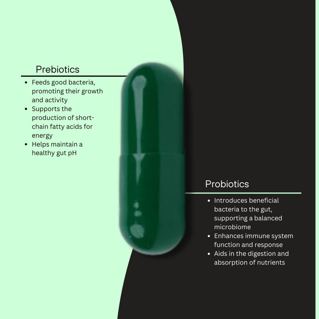 IGP's Pre Probiotic Capsules for gut health- 60 Capsules